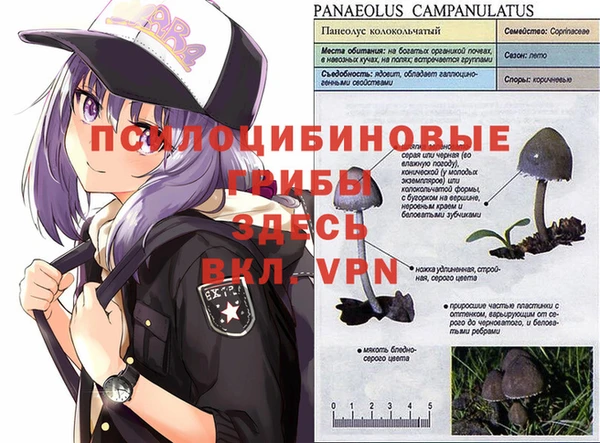 мет Баксан