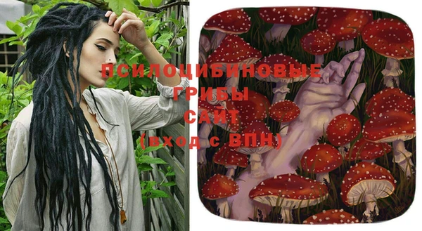 гашик Белокуриха